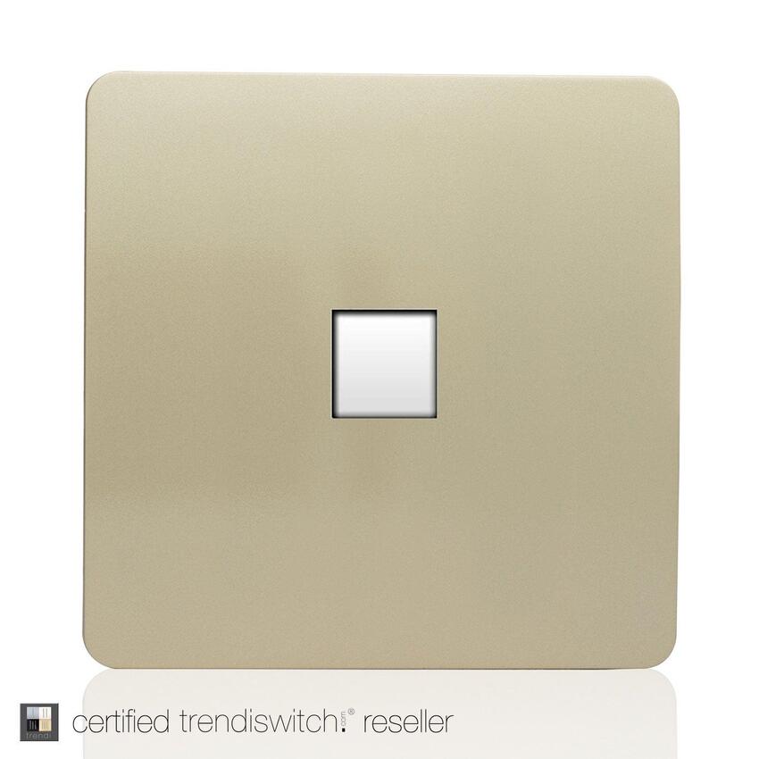 Photograph: Trendi, Artistic Modern Single PC Ethernet Cat 5 & 6 Data Outlet Champagne Gold Finish