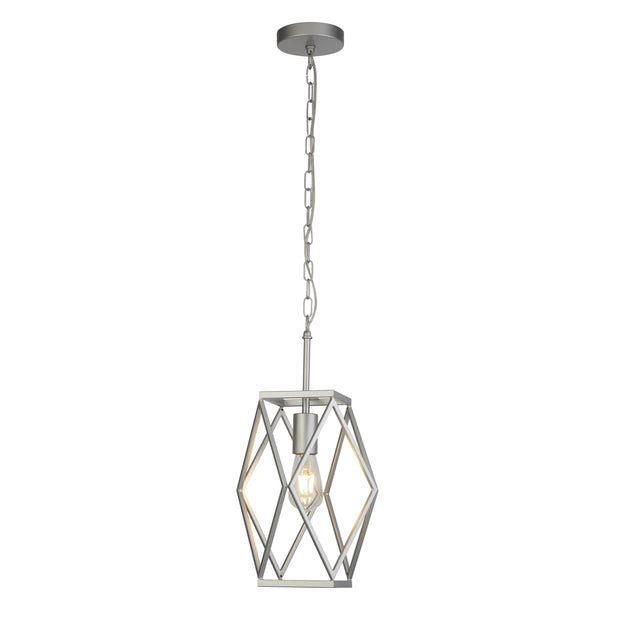 Stainless Steel Chassis 1 Light Cage Pendant Light